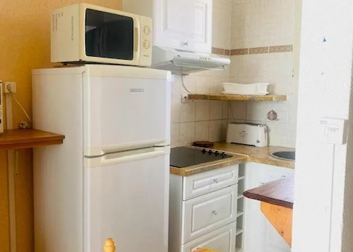 Appartement Cosy Avec Balcon, Parking Privé, Proche Thermes Et Centre Ville, à Amélie-les-bains - Fr-1-703-177 *