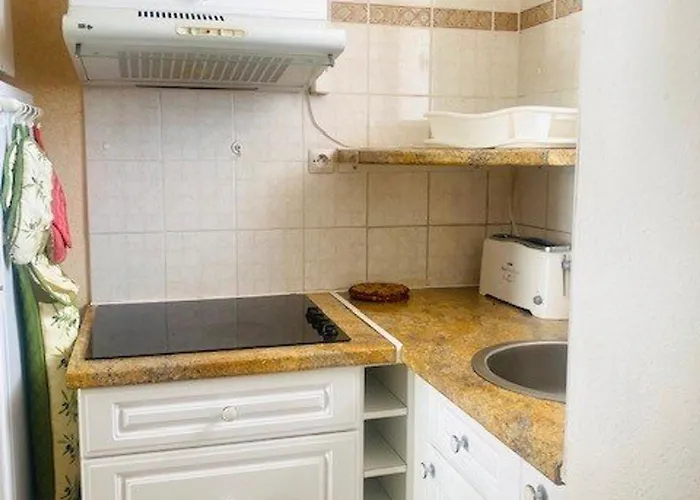 Appartement Cosy Avec Balcon, Parking Privé, Proche Thermes Et Centre Ville, à Amélie-les-bains - Fr-1-703-177